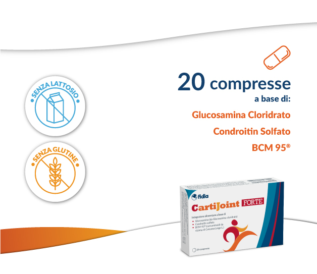 CartiJoint Forte, поддержка суставов, таблетки, 20 шт