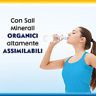 Polase Plus, саше, 36 шт
