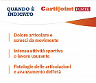 CartiJoint Forte, поддержка суставов, таблетки, 20 шт